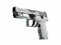 P250 Whiteout